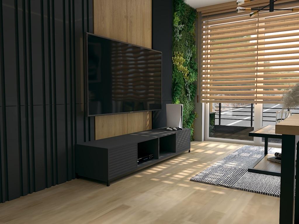 Salon z kuchnią w aneksie 40m2, strefa wypoczynkowa - ściana TV